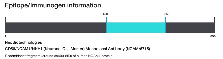CD56/NCAM1/NKH1 (Neuronal Cell Marker) Monoclonal Antibody (NCAM/6715)