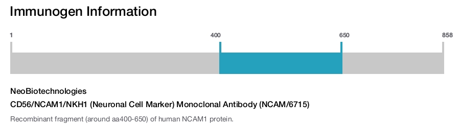 CD56/NCAM1/NKH1 (Neuronal Cell Marker) Monoclonal Antibody (NCAM/6715)