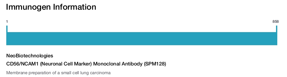 CD56/NCAM1 (Neuronal Cell Marker) Monoclonal Antibody (SPM128)
