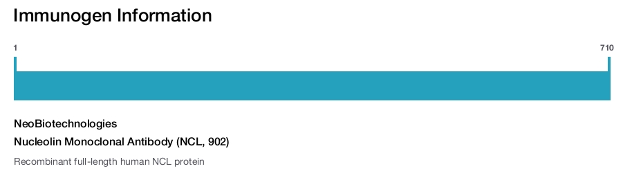 Nucleolin Monoclonal Antibody (NCL, 902)
