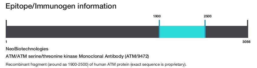 ATM/ATM serine/threonine kinase Monoclonal Antibody (ATM/9472)