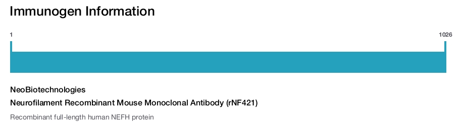 Neurofilament Recombinant Mouse Monoclonal Antibody (rNF421)