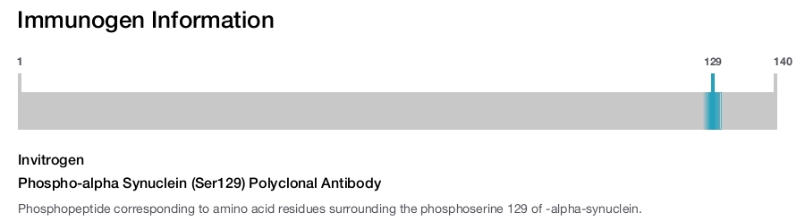 Phospho-alpha Synuclein (Ser129) Polyclonal Antibody