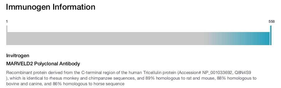MARVELD2 Polyclonal Antibody
