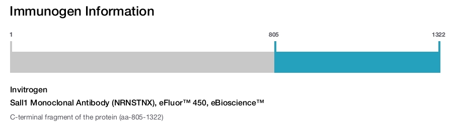 Sall1 Monoclonal Antibody (NRNSTNX), eFluor™ 450, eBioscience™