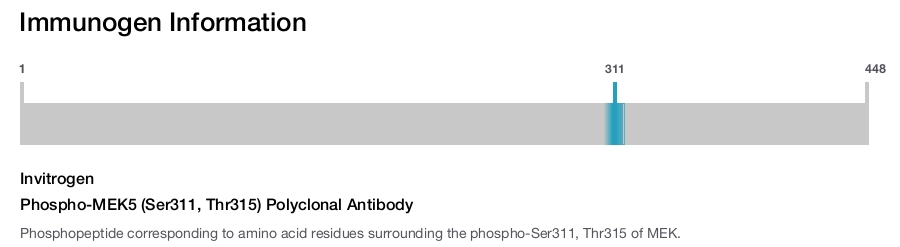 Phospho-MEK5 (Ser311, Thr315) Polyclonal Antibody