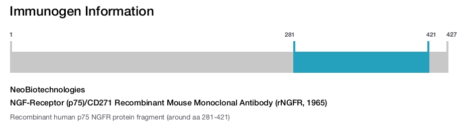 NGF-Receptor (p75)/CD271 Recombinant Mouse Monoclonal Antibody (rNGFR, 1965)