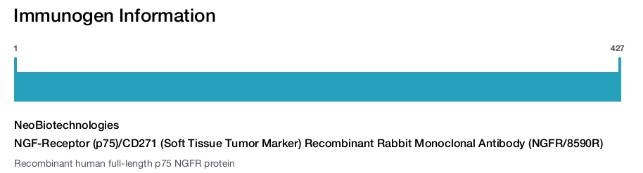 NGF-Receptor (p75)/CD271 (Soft Tissue Tumor Marker) Recombinant Rabbit Monoclonal Antibody (NGFR/8590R)