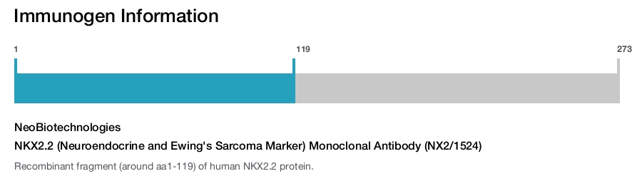 NKX2.2 (Neuroendocrine and Ewing's Sarcoma Marker) Monoclonal Antibody (NX2/1524)