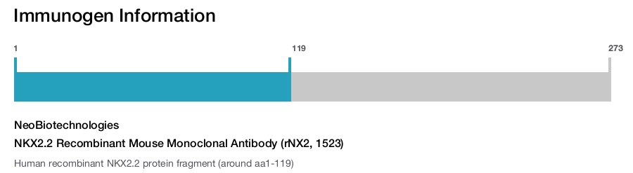 NKX2.2 Recombinant Mouse Monoclonal Antibody (rNX2, 1523)