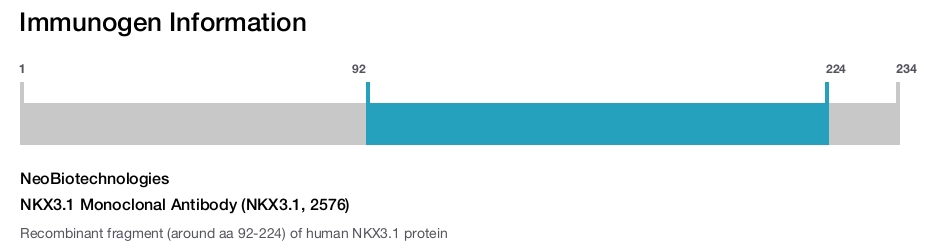NKX3.1 Monoclonal Antibody (NKX3.1, 2576)