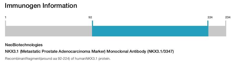 NKX3.1 (Metastatic Prostate Adenocarcinoma Marker) Monoclonal Antibody (NKX3.1/3347)
