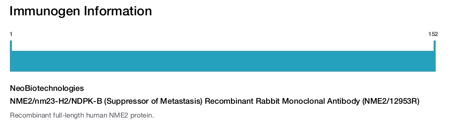 NME2/nm23-H2/NDPK-B (Suppressor of Metastasis) Recombinant Rabbit Monoclonal Antibody (NME2/12953R)
