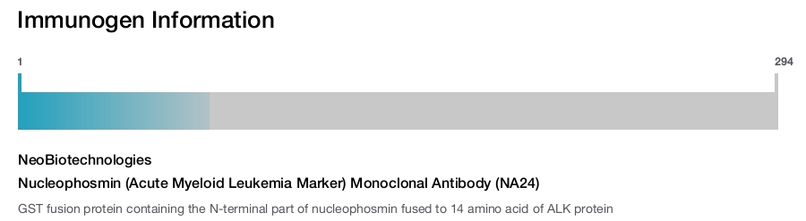 Nucleophosmin (Acute Myeloid Leukemia Marker) Monoclonal Antibody (NA24)
