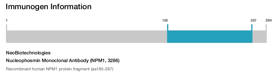 Nucleophosmin Monoclonal Antibody (NPM1, 3286)