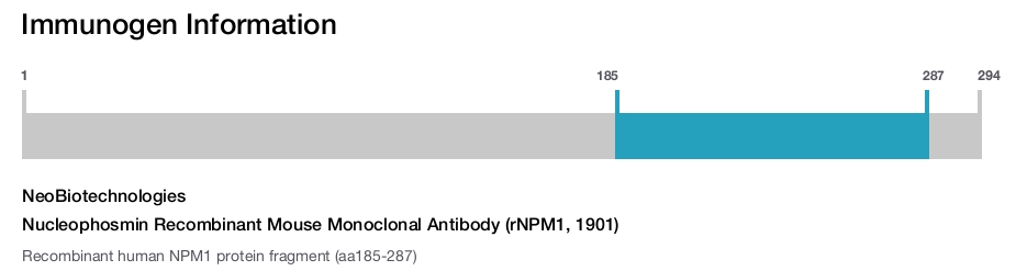 Nucleophosmin Recombinant Mouse Monoclonal Antibody (rNPM1, 1901)