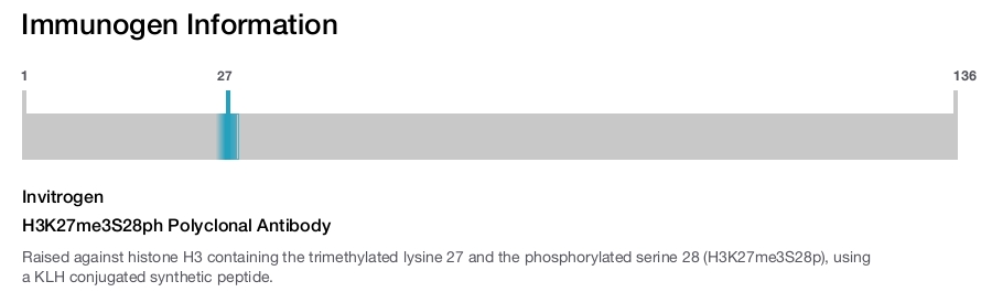H3K27me3S28ph Polyclonal Antibody