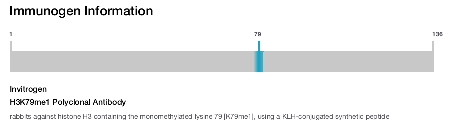 H3K79me1 Polyclonal Antibody