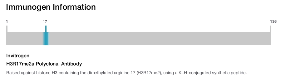 H3R17me2a Polyclonal Antibody