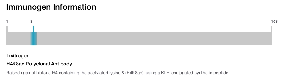 H4K8ac Polyclonal Antibody