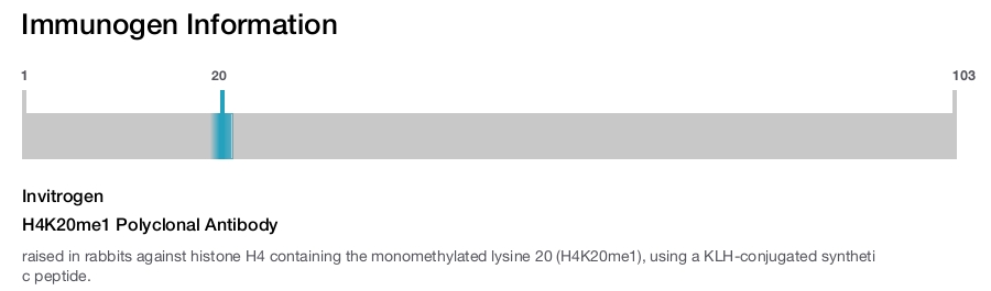 H4K20me1 Polyclonal Antibody
