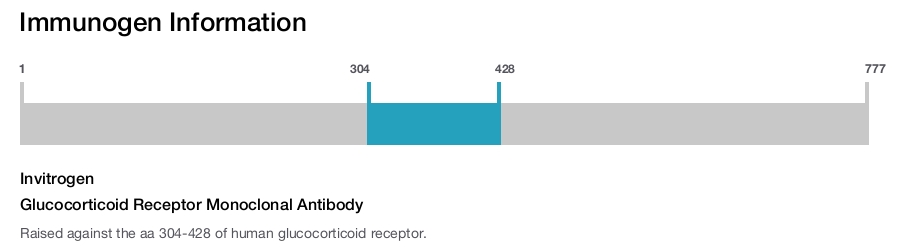Glucocorticoid Receptor Monoclonal Antibody