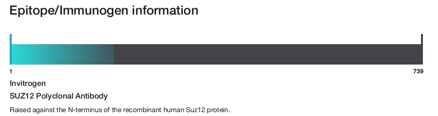 SUZ12 Polyclonal Antibody