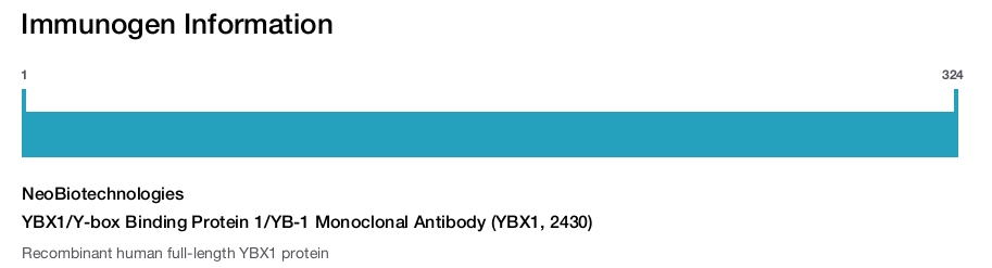 YBX1/Y-box Binding Protein 1/YB-1 Monoclonal Antibody (YBX1, 2430)