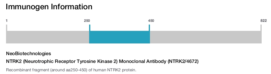 NTRK2 (Neurotrophic Receptor Tyrosine Kinase 2) Monoclonal Antibody (NTRK2/4672)