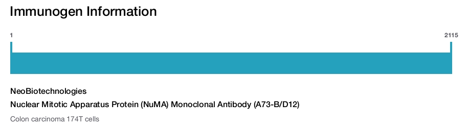 Nuclear Mitotic Apparatus Protein (NuMA) Monoclonal Antibody (A73-B/D12)