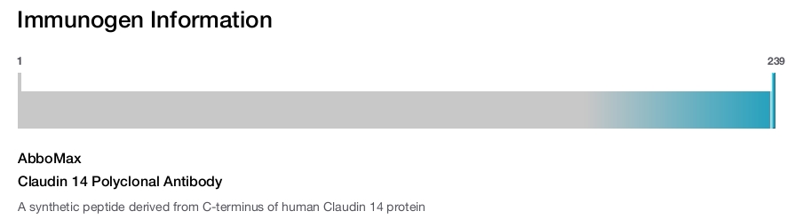 Claudin 14 Polyclonal Antibody