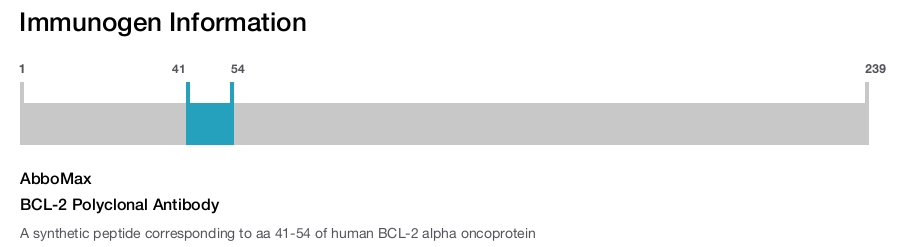 BCL-2 Polyclonal Antibody