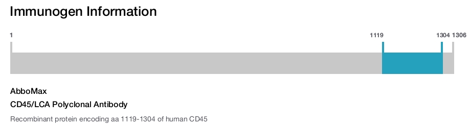 CD45/LCA Polyclonal Antibody
