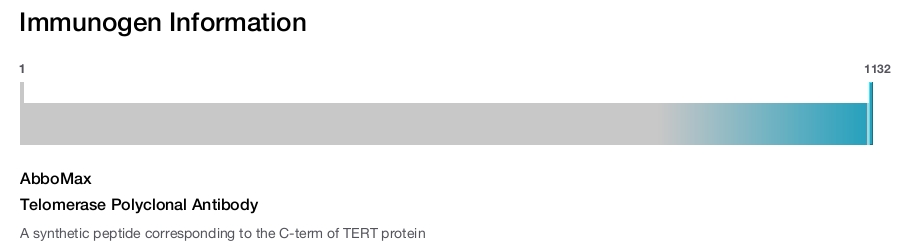 Telomerase Polyclonal Antibody