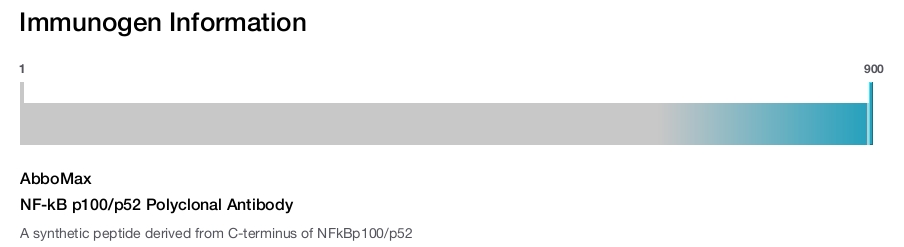 NF-kB p100/p52 Polyclonal Antibody
