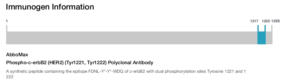 Phospho-c-erbB2 (HER2) (Tyr1221, Tyr1222) Polyclonal Antibody