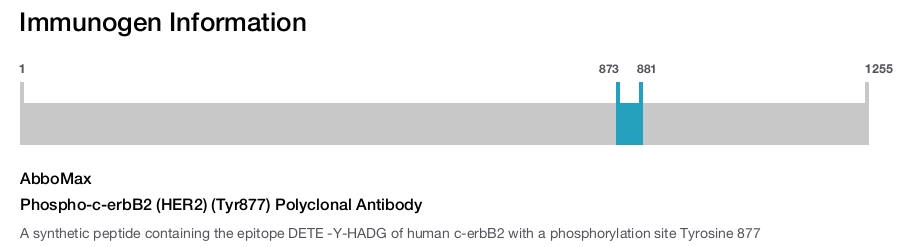 Phospho-c-erbB2 (HER2) (Tyr877) Polyclonal Antibody