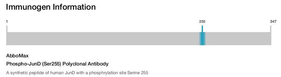 Phospho-JunD (Ser255) Polyclonal Antibody