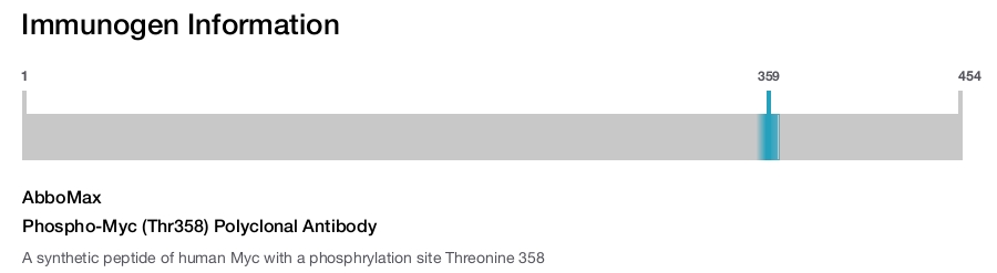 Phospho-Myc (Thr358) Polyclonal Antibody