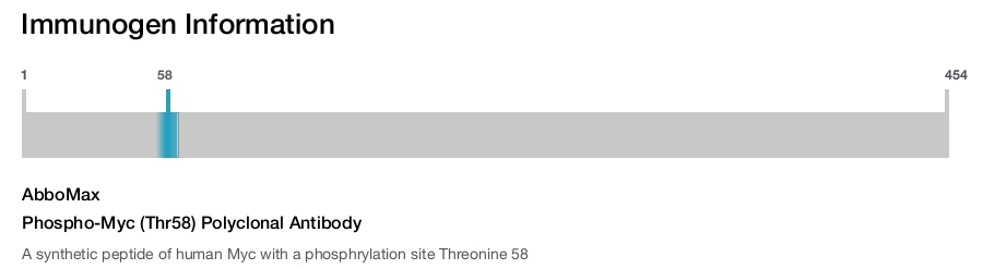 Phospho-Myc (Thr58) Polyclonal Antibody