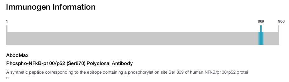 Phospho-NFkB-p100/p52 (Ser870) Polyclonal Antibody