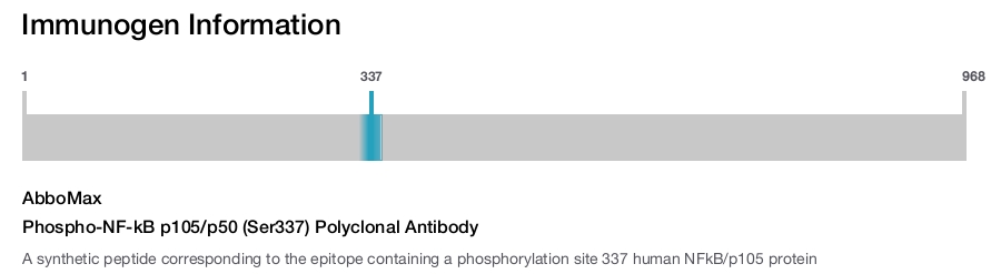 Phospho-NF-kB p105/p50 (Ser337) Polyclonal Antibody