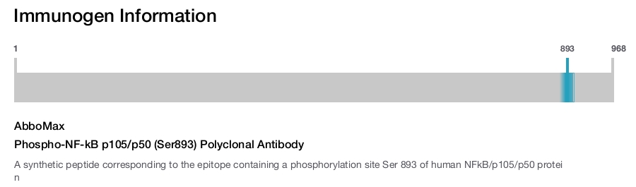 Phospho-NF-kB p105/p50 (Ser893) Polyclonal Antibody