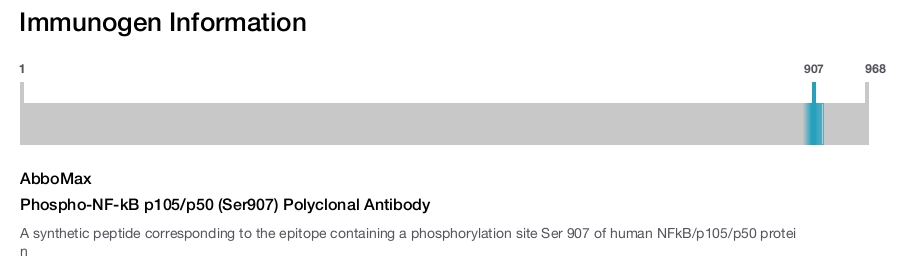 Phospho-NF-kB p105/p50 (Ser907) Polyclonal Antibody