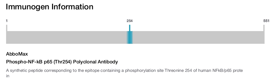 Phospho-NF-kB p65 (Thr254) Polyclonal Antibody