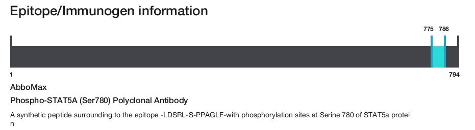 Phospho-STAT5A (Ser780) Polyclonal Antibody