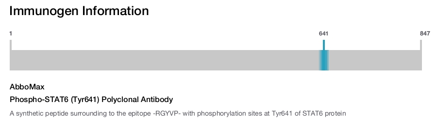 Phospho-STAT6 (Tyr641) Polyclonal Antibody