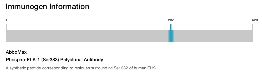 Phospho-ELK-1 (Ser383) Polyclonal Antibody