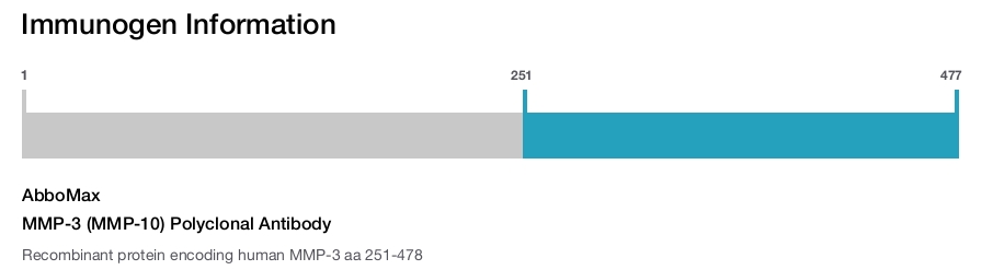MMP-3 (MMP-10) Polyclonal Antibody