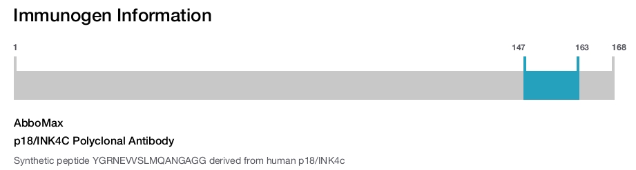p18/INK4C Polyclonal Antibody